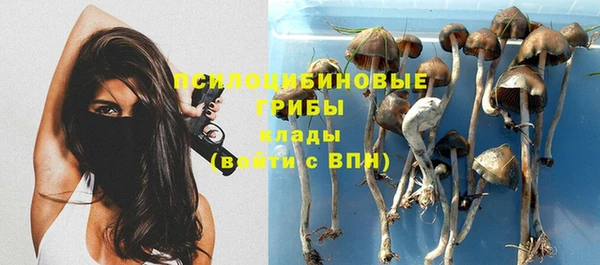 СК Балабаново