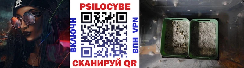 Купить где  Родники  Галлюциногенные грибы мицелий 